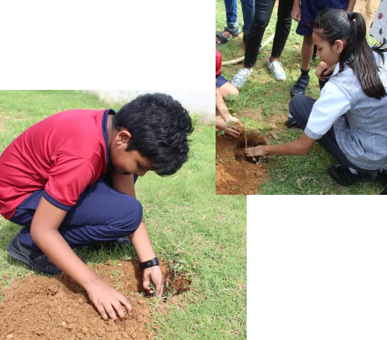 Environmental harmony